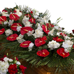 Copricassa_di_Anthurium_Rossi_con_Cymbidium_Bianco_e_Rose_Bianche