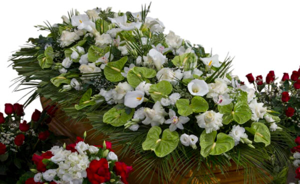 Copricassa_di_Anthurium_Verde_con_Cymbidium_Bianco_e_Rose_Bianche