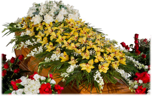 Copricassa_di_Cymbidium_Giallo_con_Ciuffo_di_Rose_Bianche_e_Bordo_di_Dendrobium_Bianco