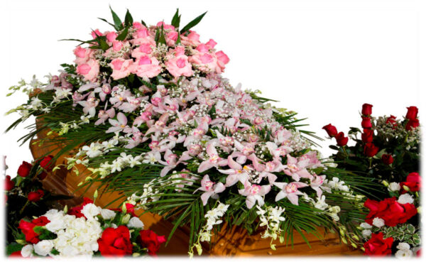 Copricassa_di_Cymbidium_Rosa_con_Ciuffo_di_Rose_Rosa_e_Giro_Dendrobium