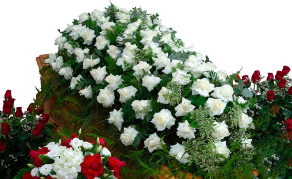 Copricassa_di_Rose_Bianche