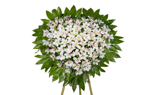Cuore_di_Cymbidium_Bianco
