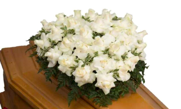 Cuore_di_Spugna_Rose_Bianche