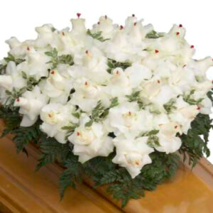 Cuore_di_Spugna_Rose_Bianche_con_cuoricini_rossi