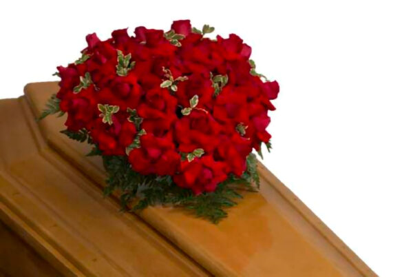 Cuore_di_Spugna_Rose_Rosse