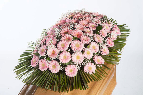 cuscino-di-gerbere-rosa
